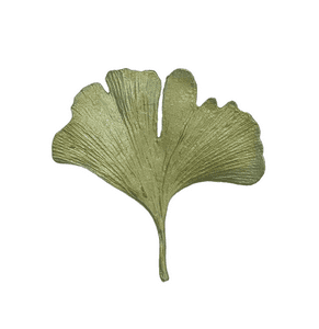 Ginkgo Brooch Small