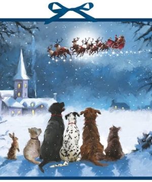Animals Watching Santa Advent Calendar