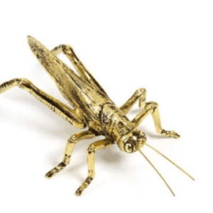 Decorative Gold Grasshopper