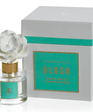 Porcelian Blush Diffuser - Sunset Beach