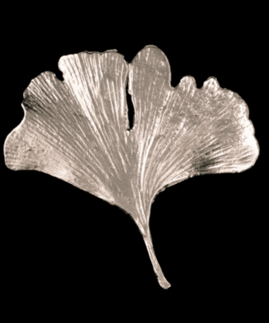 Ginkgo Brooch Silver