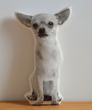 Chihuahua Pillow