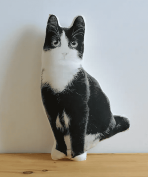 Black & White Kitten Pillow