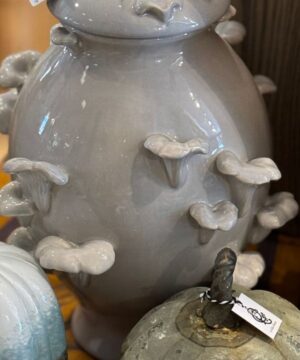 Mushroom Ginger Jar