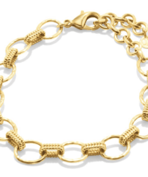 Cleopatra Grande Link Bracelet Hammered Gold