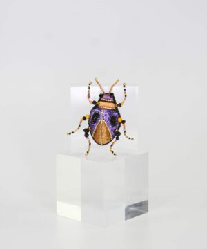 Barnabas the Beetle Brooch Embroidered