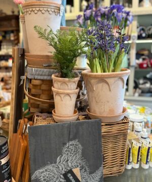 Elizabeth Pot and Plate 21 cm