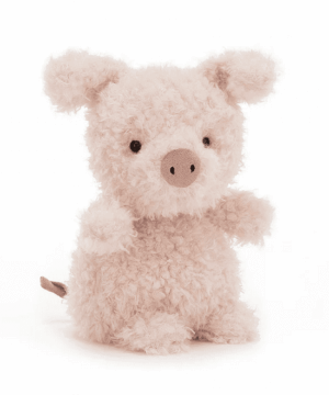 Little Pig