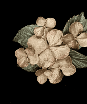 Hydrangea Brooch
