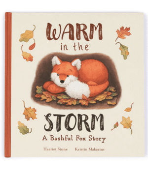 Warm in the Storm Book