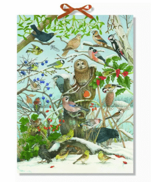 Birds in Winter Birdsong Advent Calendar