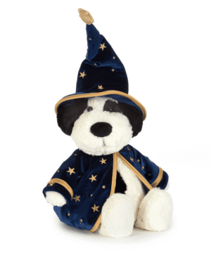 Rufferty Puppy Wizard Outfit