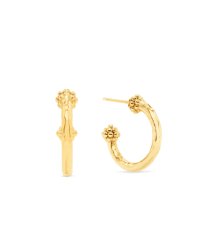 Berry Slice Small Hoop Earrings - Gold